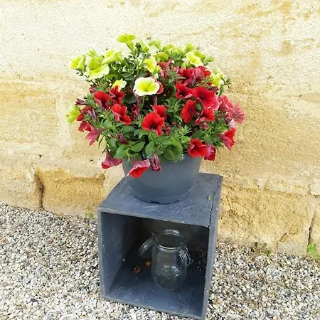 Vakantiehuis Clos De Micouleau - Gites Flaujagues